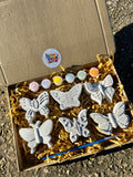 Paint Your Own Plaster Butterfly Kit