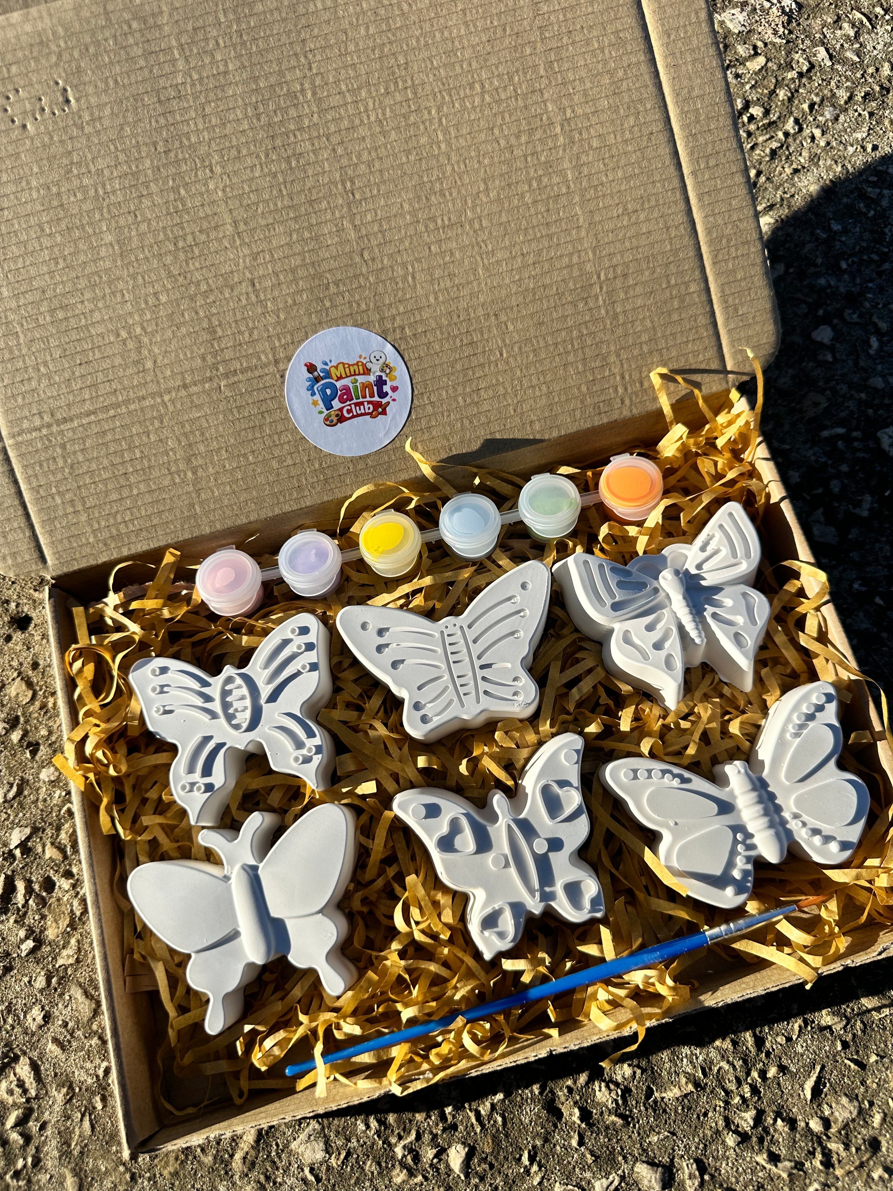 Paint Your Own Plaster Butterfly Kit