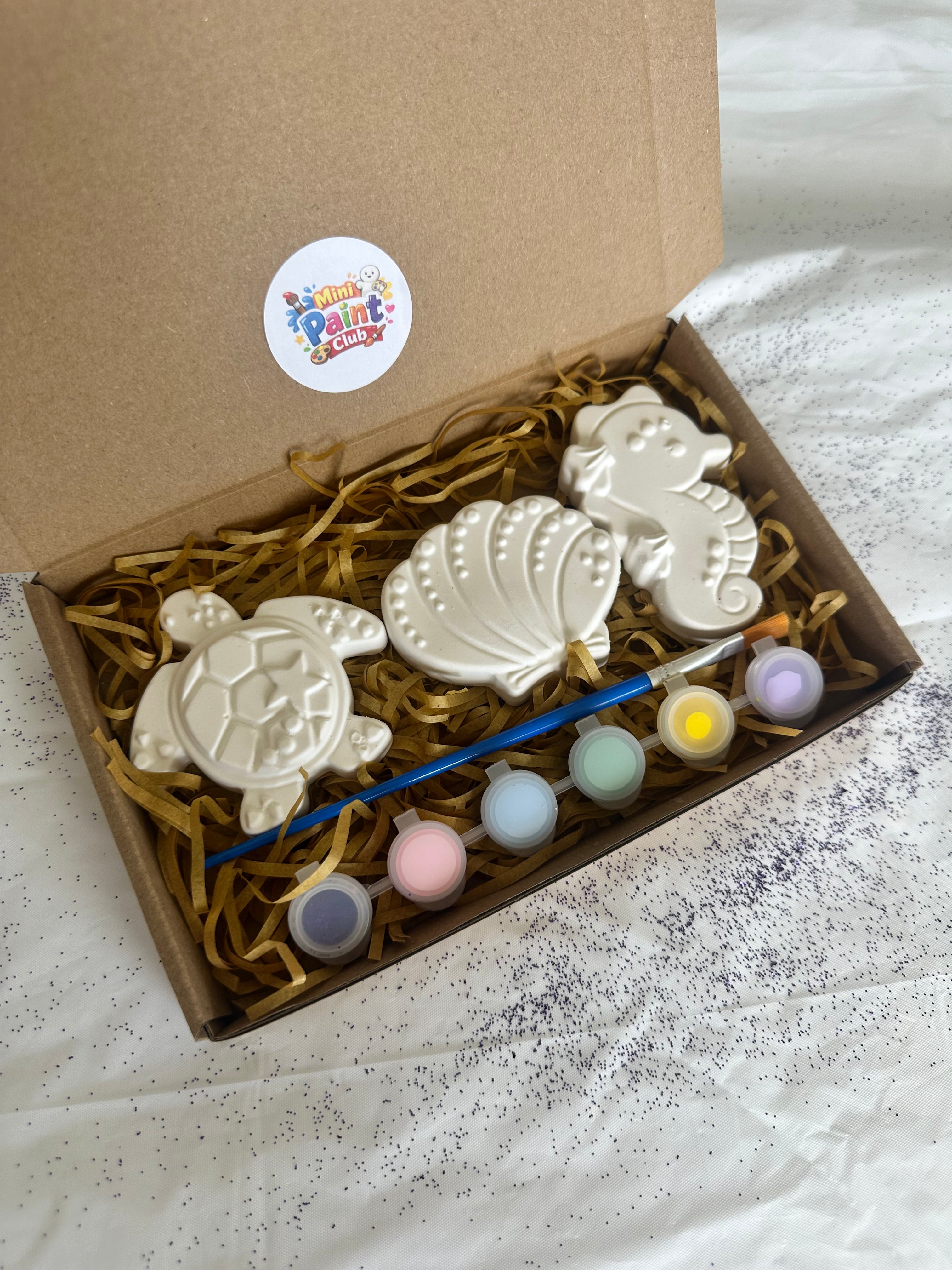 Paint Your Own Under The Sea Craft Kit