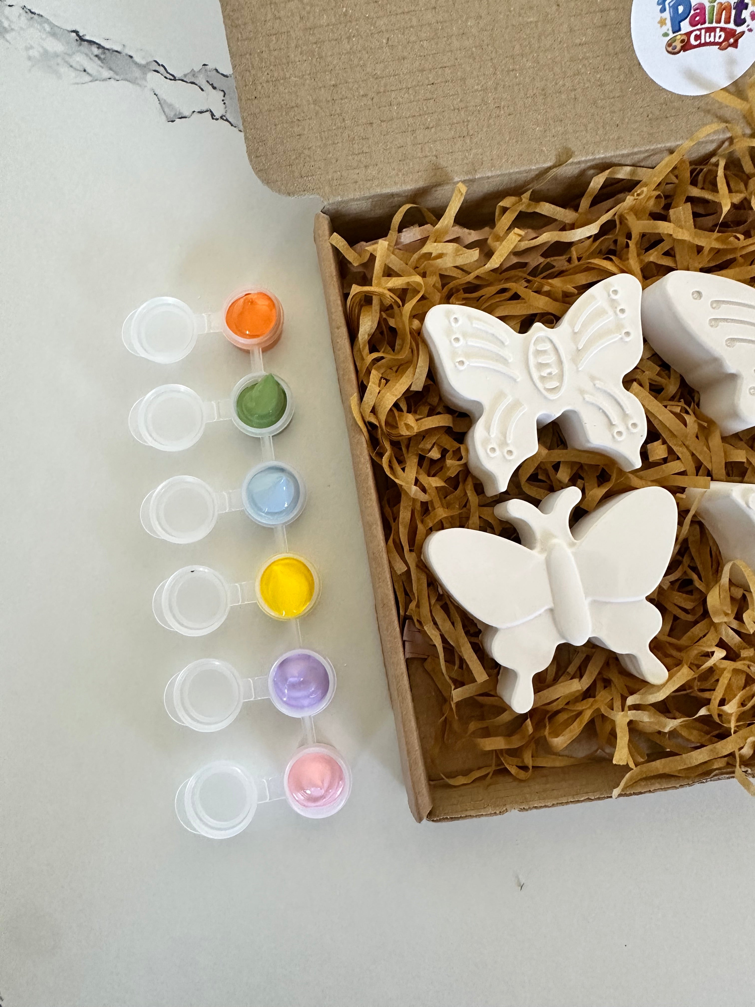 Paint Your Own Plaster Butterfly Kit