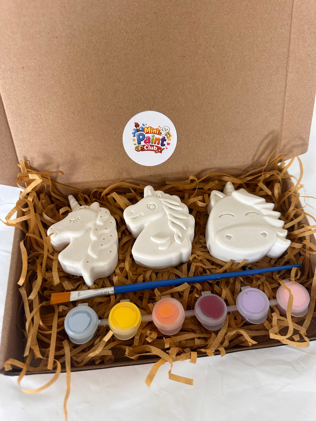 Paint Your Own Unicorn Kit