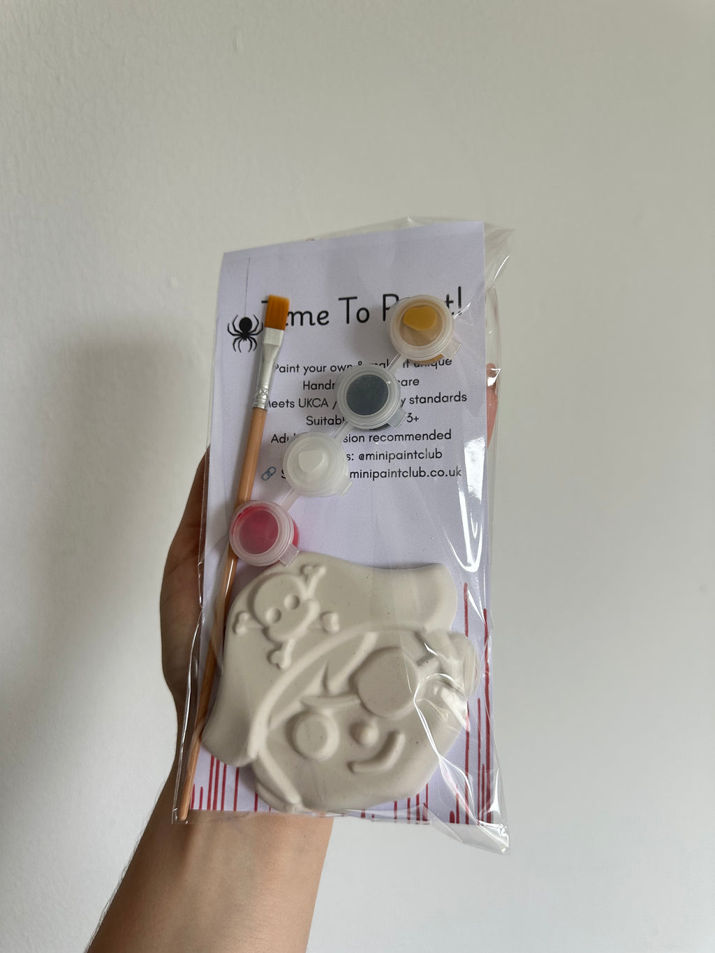 Paint Your Own Pirate & Ship Kit